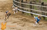 Deutsches Derby Hamburg 2014 (1016)